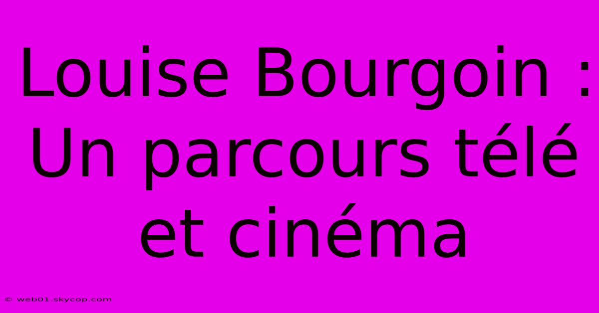 Louise Bourgoin : Un Parcours Télé Et Cinéma 