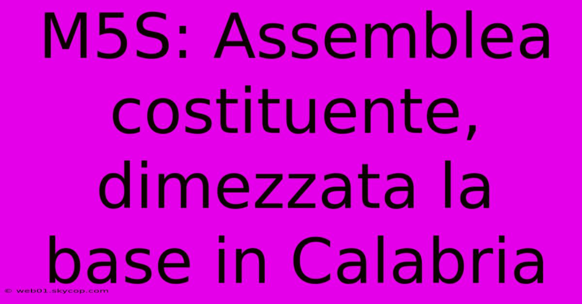 M5S: Assemblea Costituente, Dimezzata La Base In Calabria