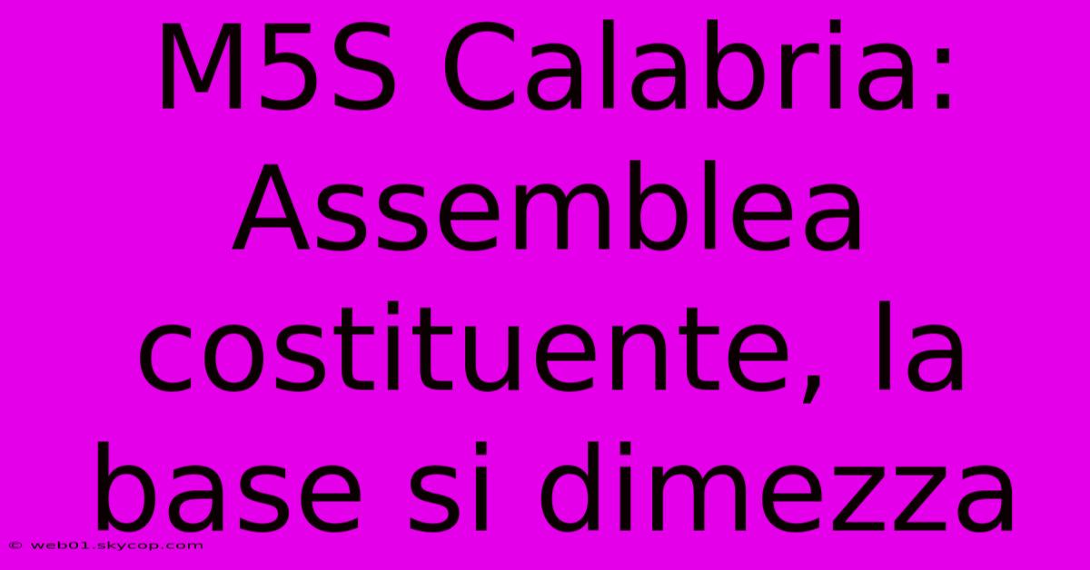 M5S Calabria: Assemblea Costituente, La Base Si Dimezza 