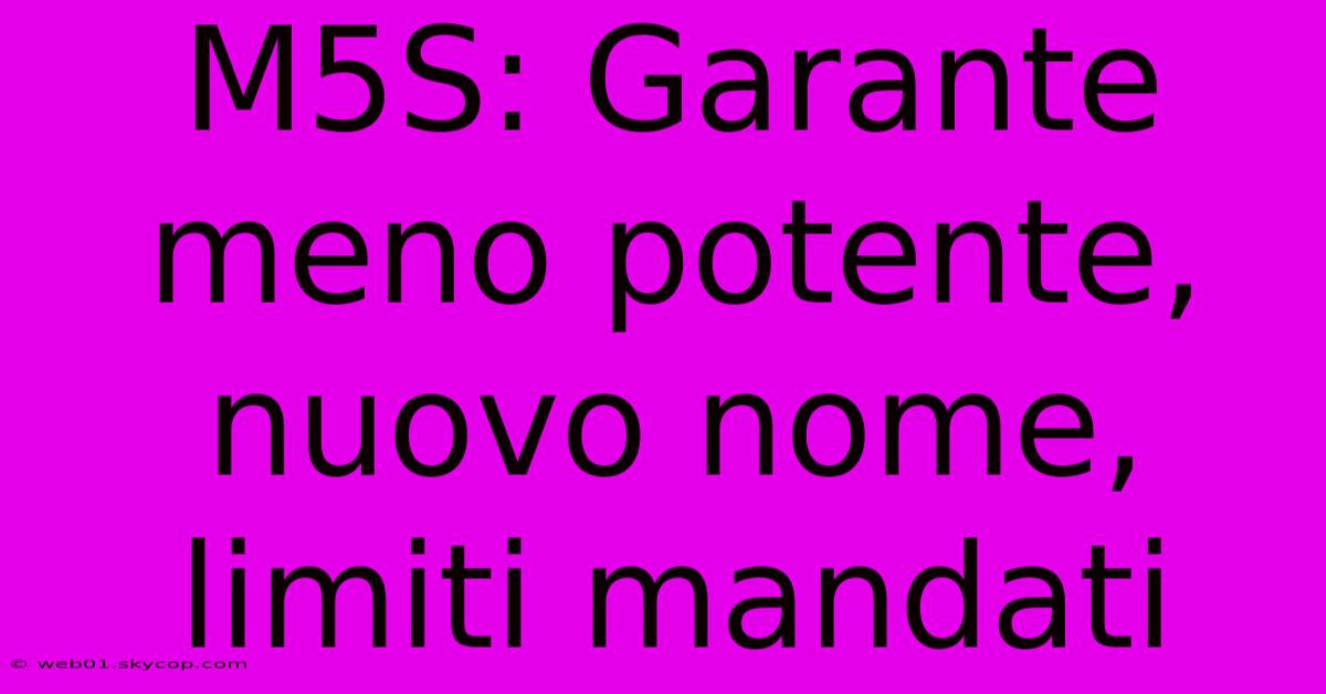 M5S: Garante Meno Potente, Nuovo Nome, Limiti Mandati