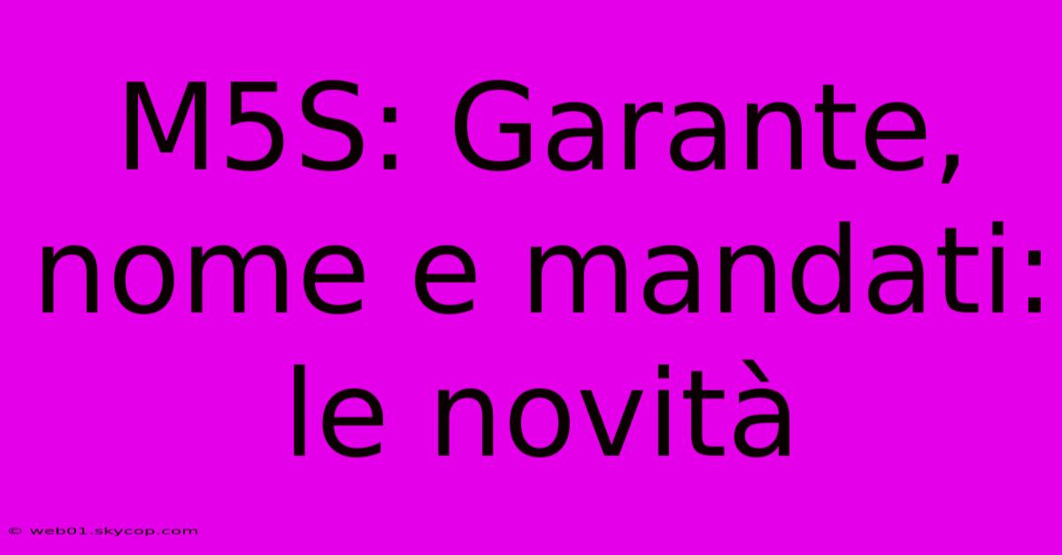 M5S: Garante, Nome E Mandati: Le Novità