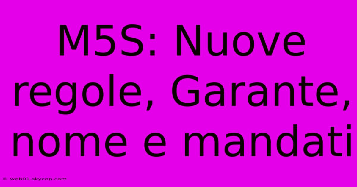 M5S: Nuove Regole, Garante, Nome E Mandati 