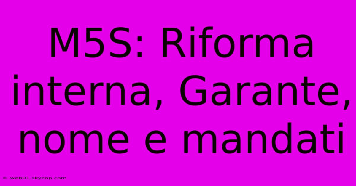 M5S: Riforma Interna, Garante, Nome E Mandati