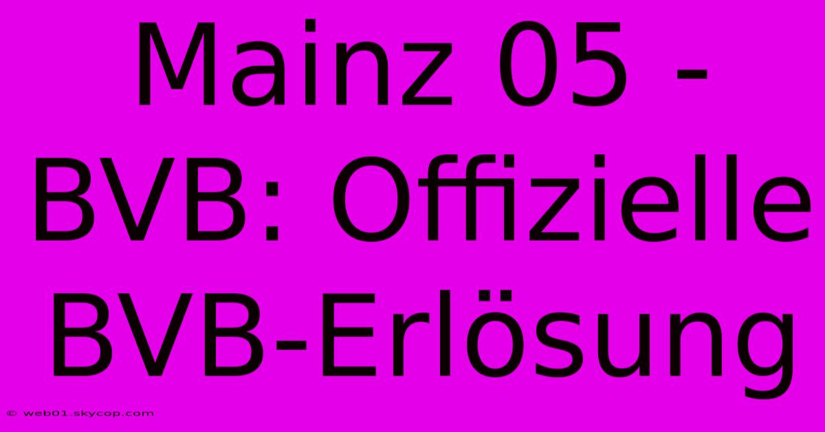 Mainz 05 - BVB: Offizielle BVB-Erlösung