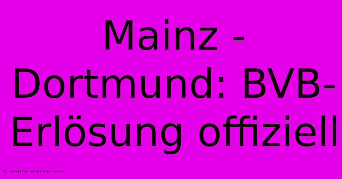 Mainz - Dortmund: BVB-Erlösung Offiziell