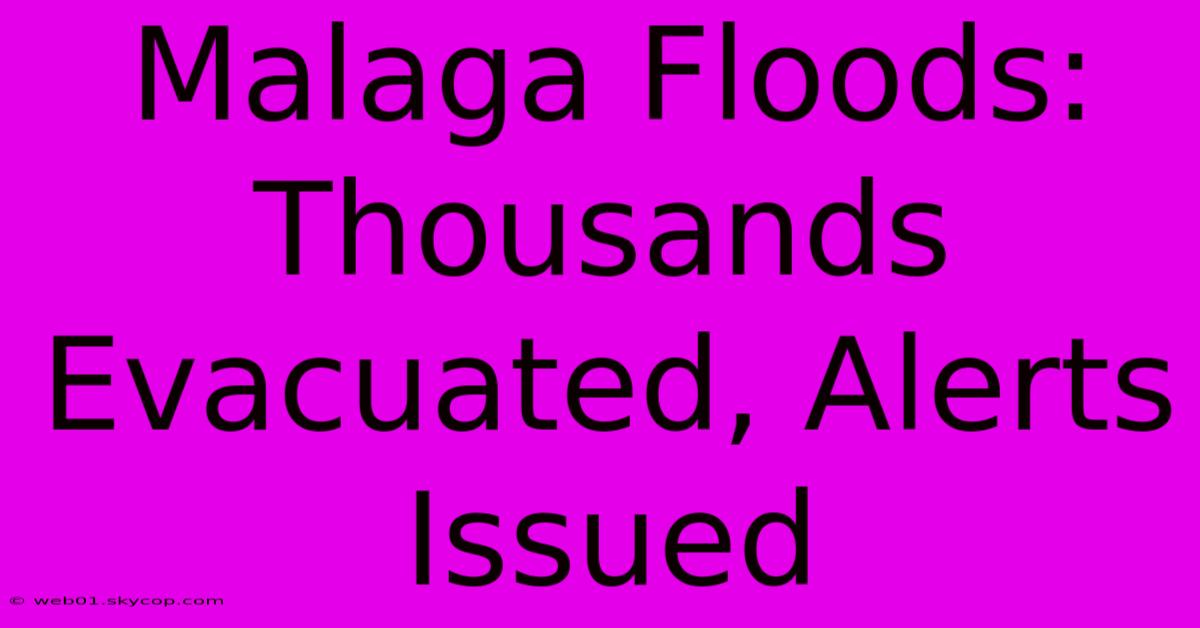 Malaga Floods: Thousands Evacuated, Alerts Issued