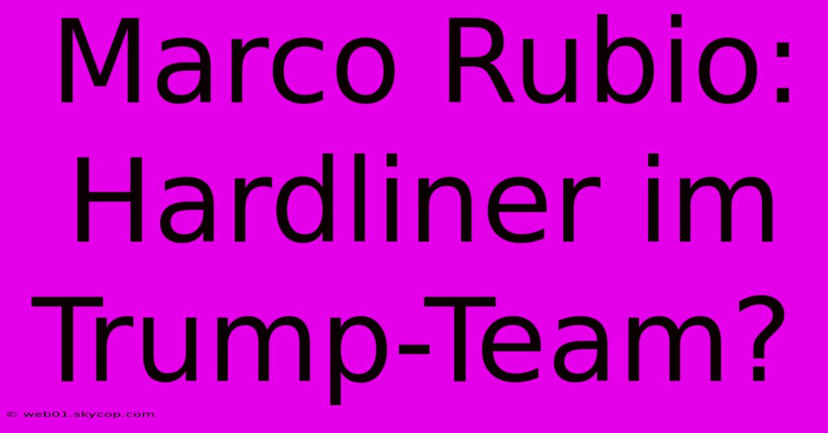 Marco Rubio: Hardliner Im Trump-Team?