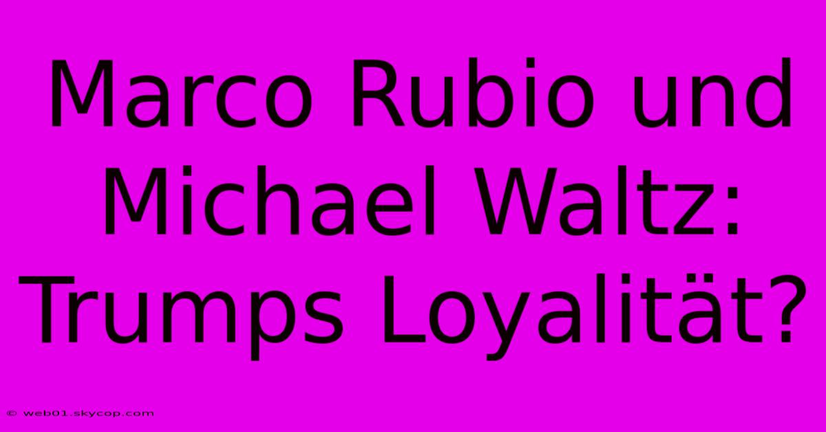 Marco Rubio Und Michael Waltz: Trumps Loyalität?