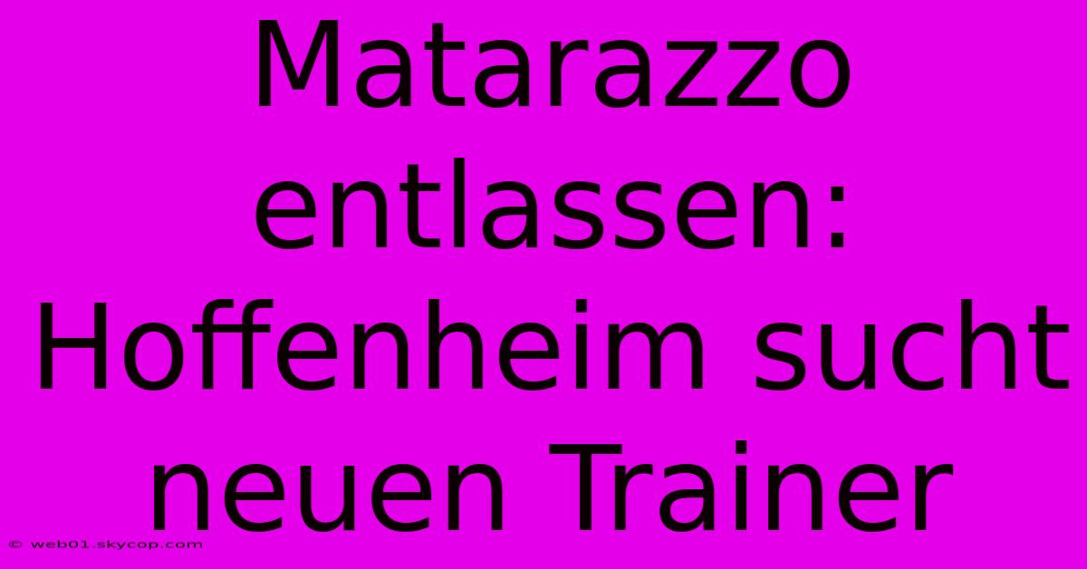 Matarazzo Entlassen: Hoffenheim Sucht Neuen Trainer 