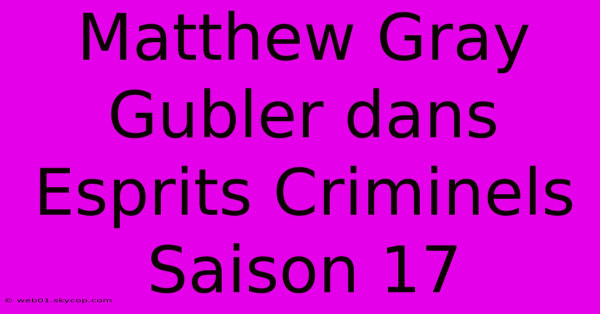 Matthew Gray Gubler Dans Esprits Criminels Saison 17