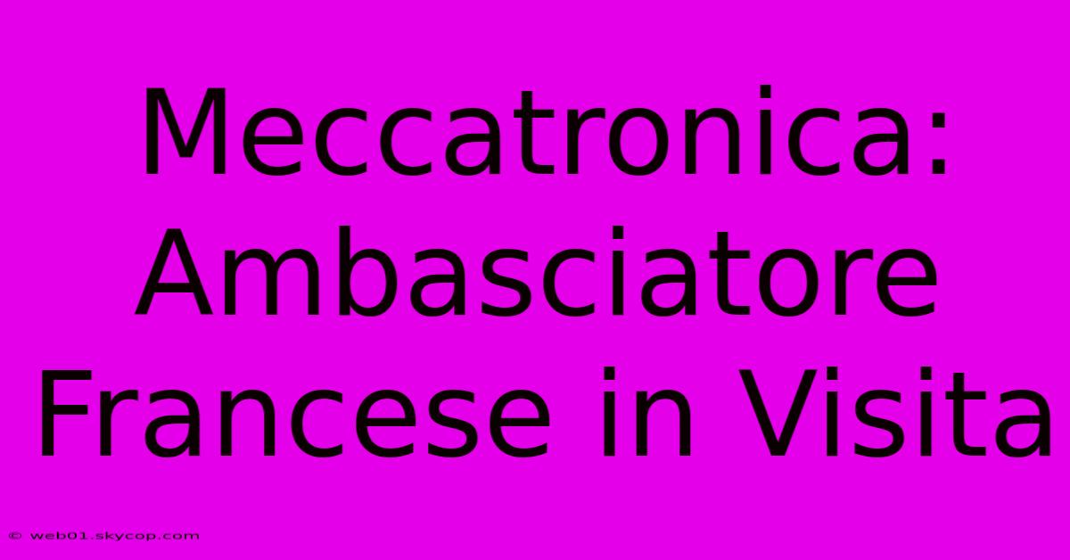 Meccatronica: Ambasciatore Francese In Visita 