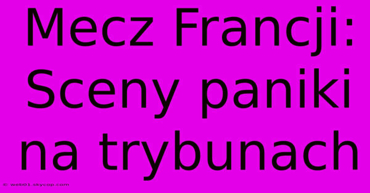 Mecz Francji: Sceny Paniki Na Trybunach