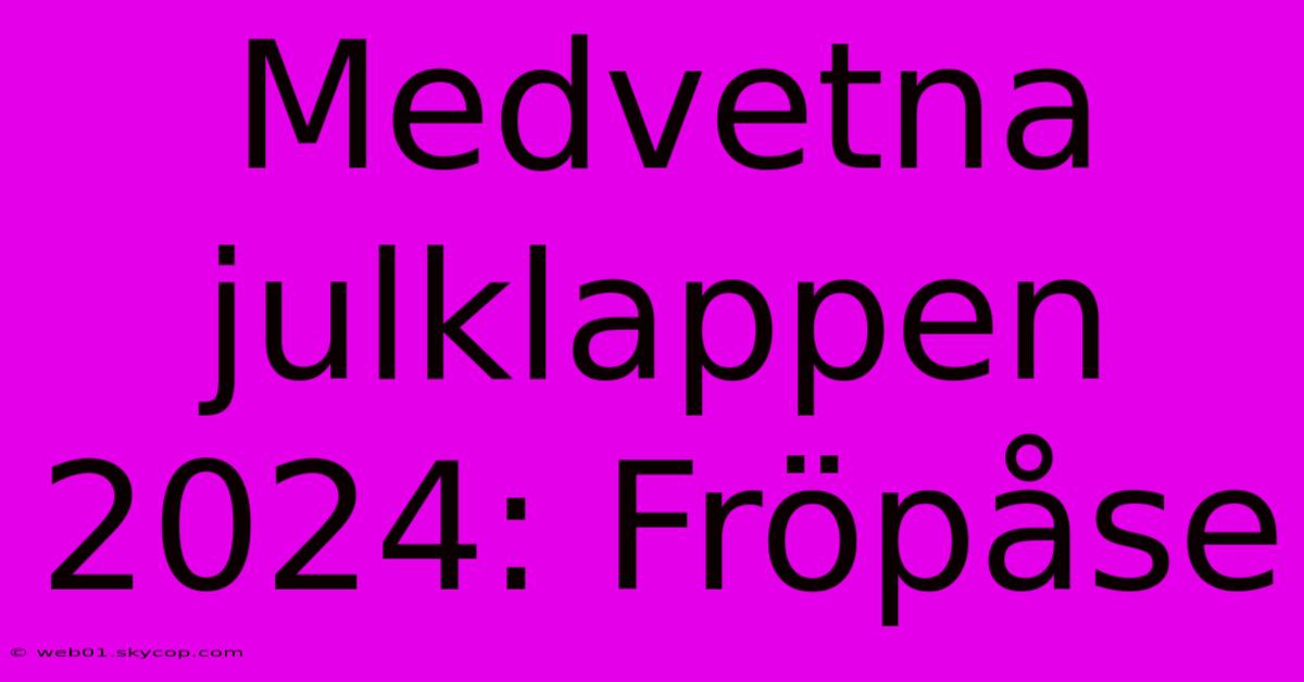 Medvetna Julklappen 2024: Fröpåse