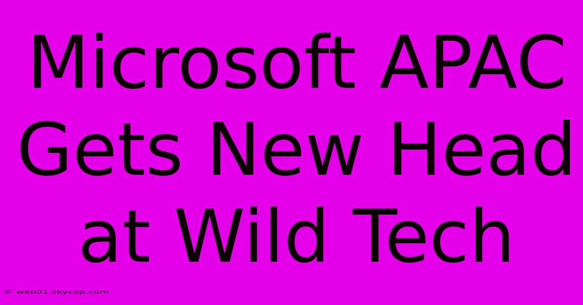 Microsoft APAC Gets New Head At Wild Tech 