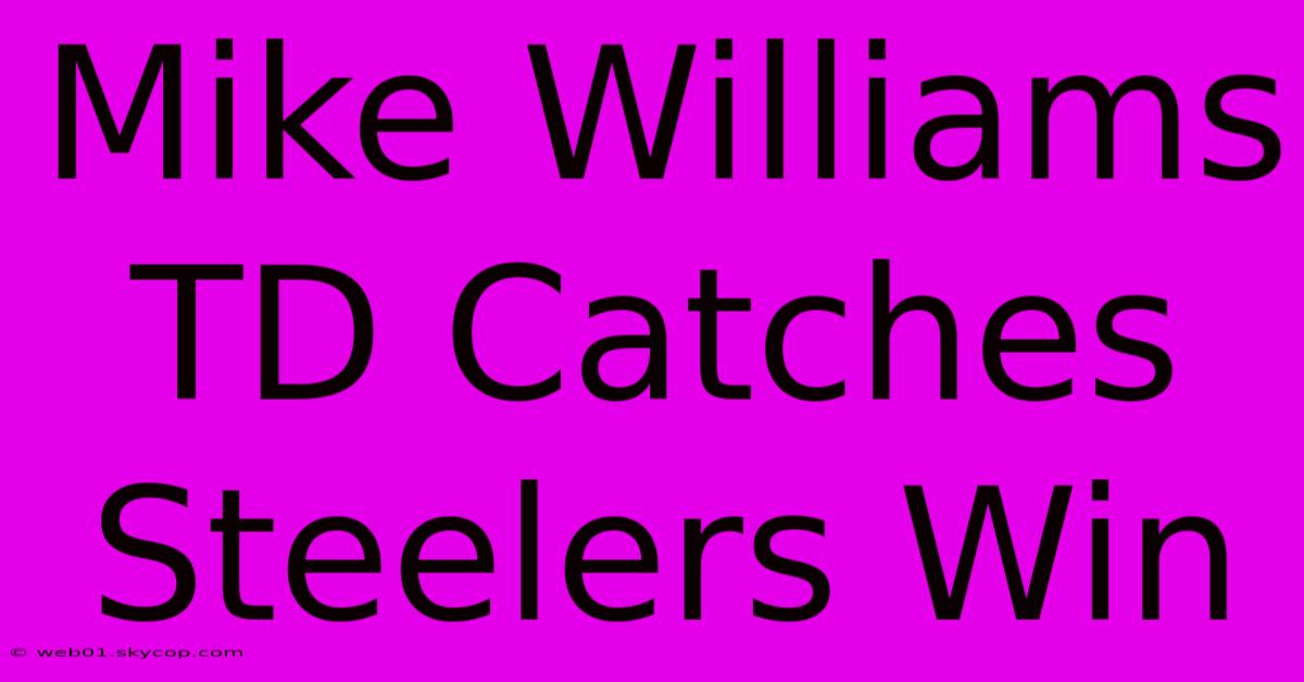 Mike Williams TD Catches Steelers Win