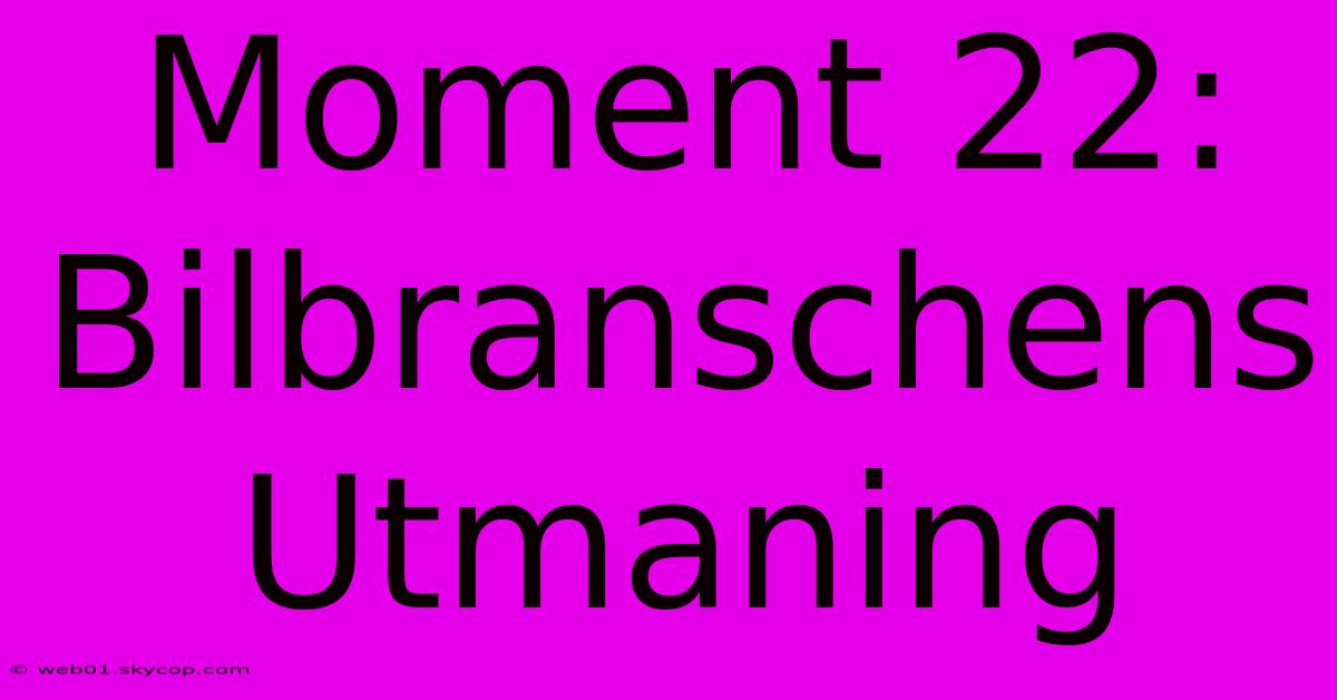 Moment 22: Bilbranschens Utmaning