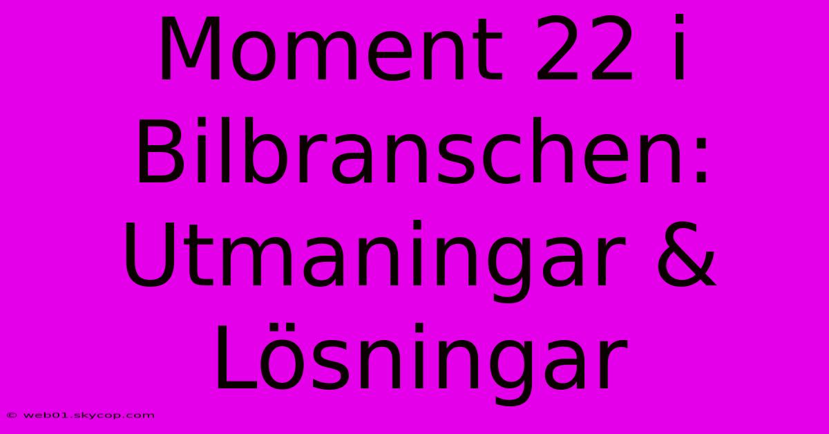 Moment 22 I Bilbranschen: Utmaningar & Lösningar