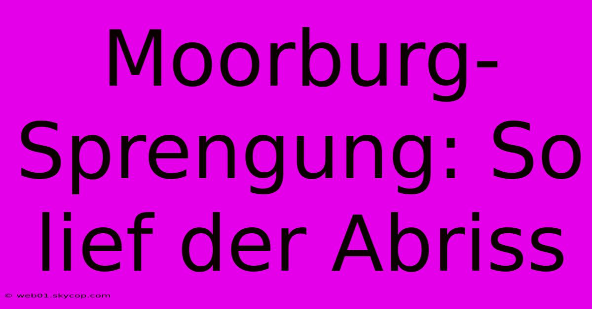 Moorburg-Sprengung: So Lief Der Abriss