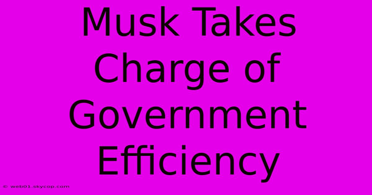 Musk Takes Charge Of Government Efficiency 