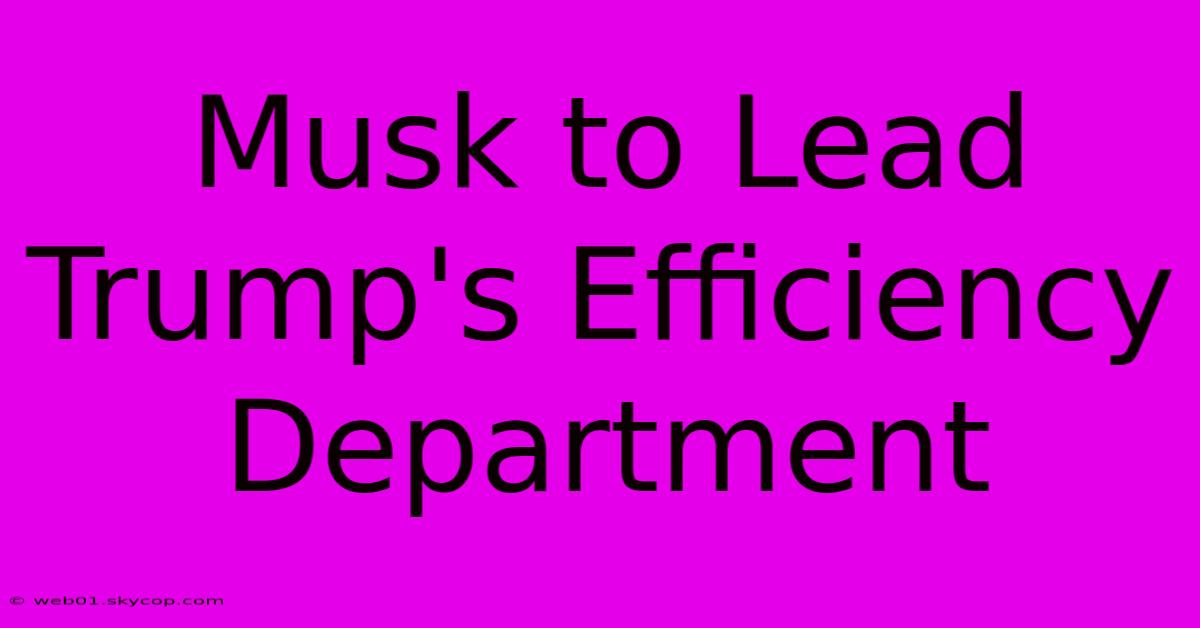 Musk To Lead Trump's Efficiency Department