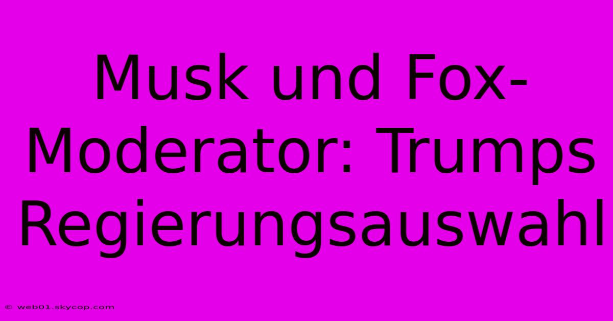 Musk Und Fox-Moderator: Trumps Regierungsauswahl