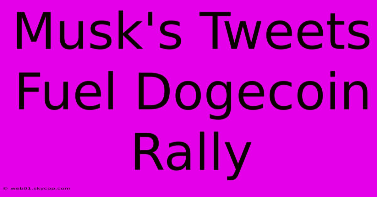 Musk's Tweets Fuel Dogecoin Rally