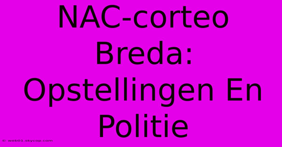 NAC-corteo Breda: Opstellingen En Politie