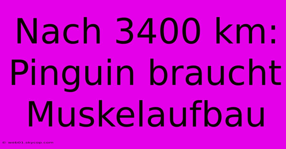 Nach 3400 Km: Pinguin Braucht Muskelaufbau