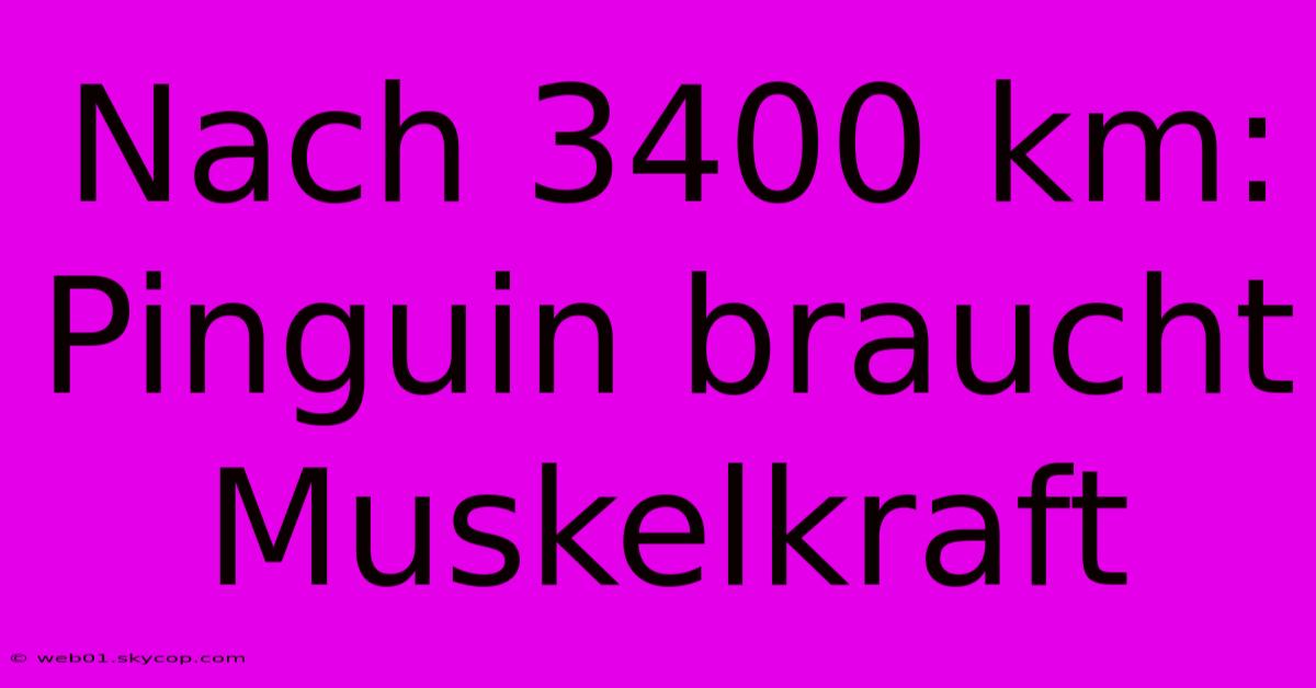 Nach 3400 Km: Pinguin Braucht Muskelkraft