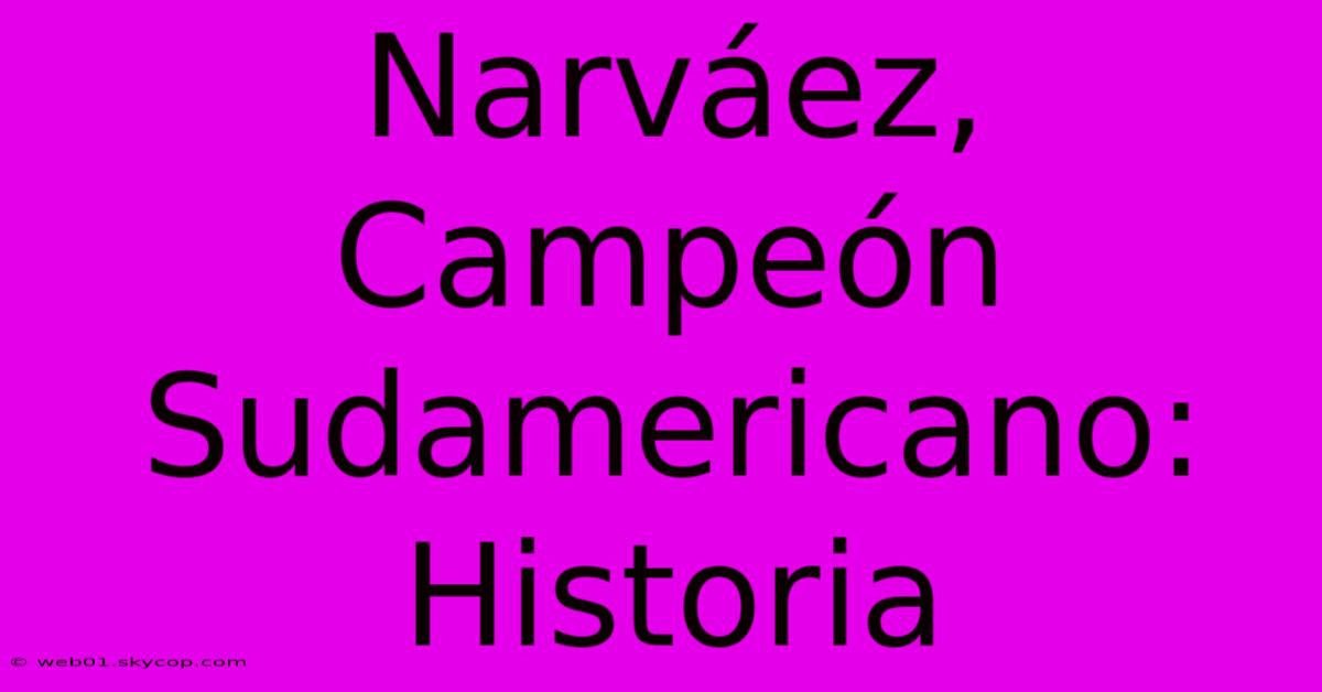 Narváez, Campeón Sudamericano: Historia