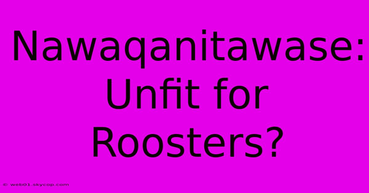 Nawaqanitawase: Unfit For Roosters? 