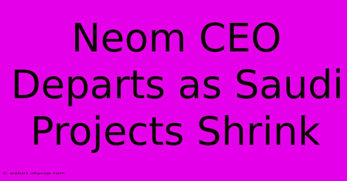 Neom CEO Departs As Saudi Projects Shrink