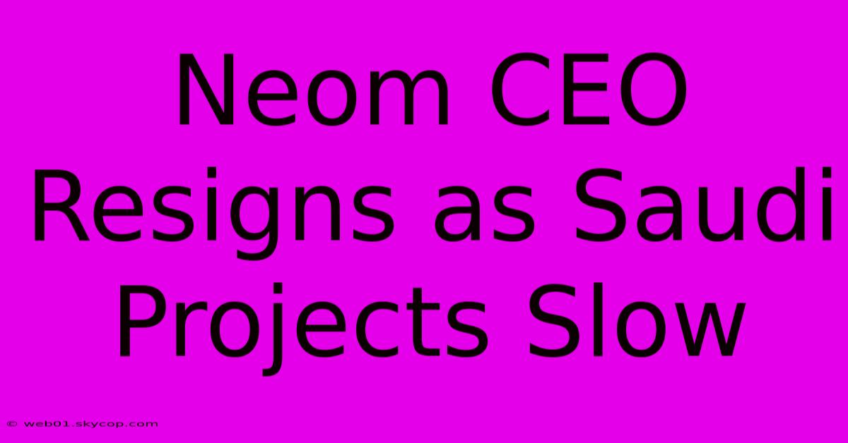 Neom CEO Resigns As Saudi Projects Slow 