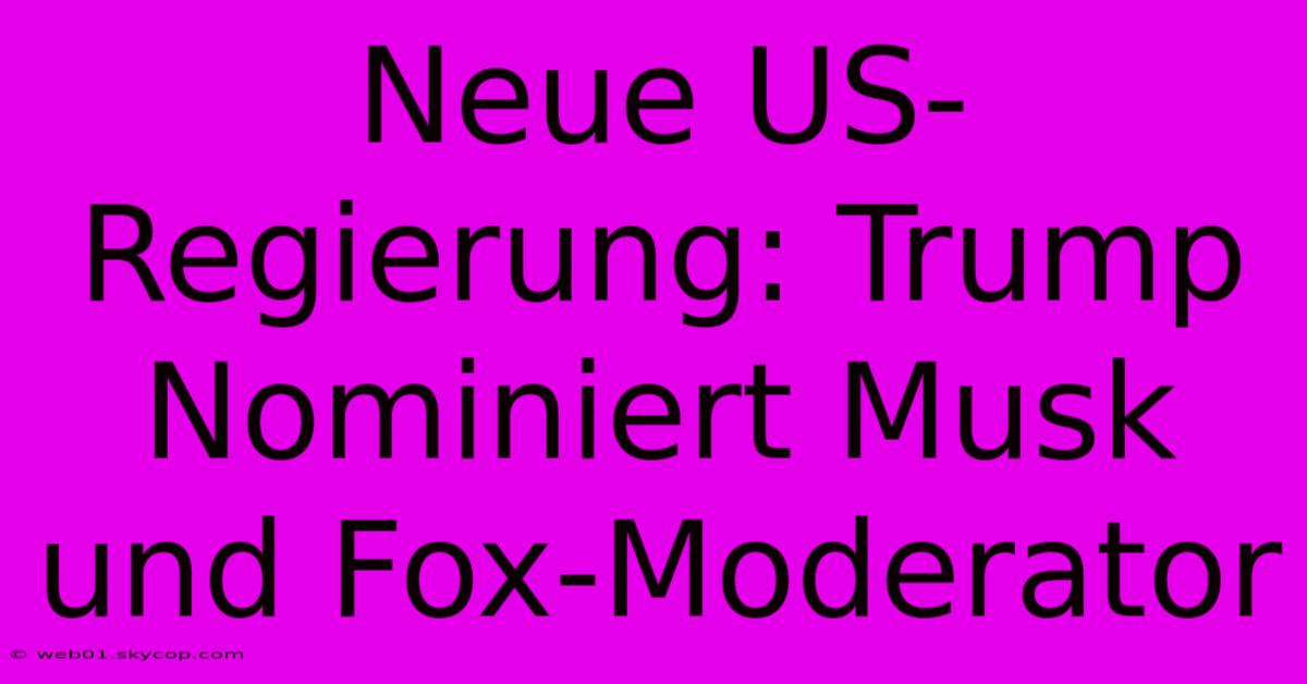 Neue US-Regierung: Trump Nominiert Musk Und Fox-Moderator