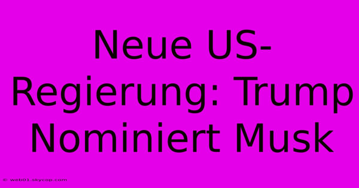 Neue US-Regierung: Trump Nominiert Musk