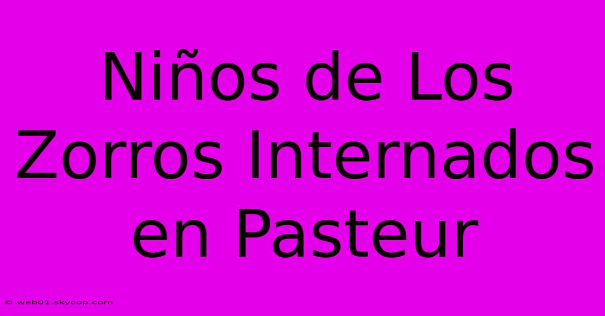 Niños De Los Zorros Internados En Pasteur