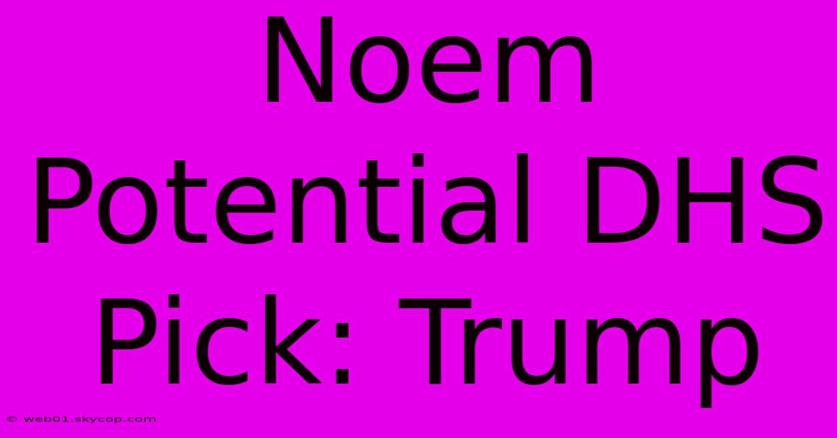 Noem Potential DHS Pick: Trump 