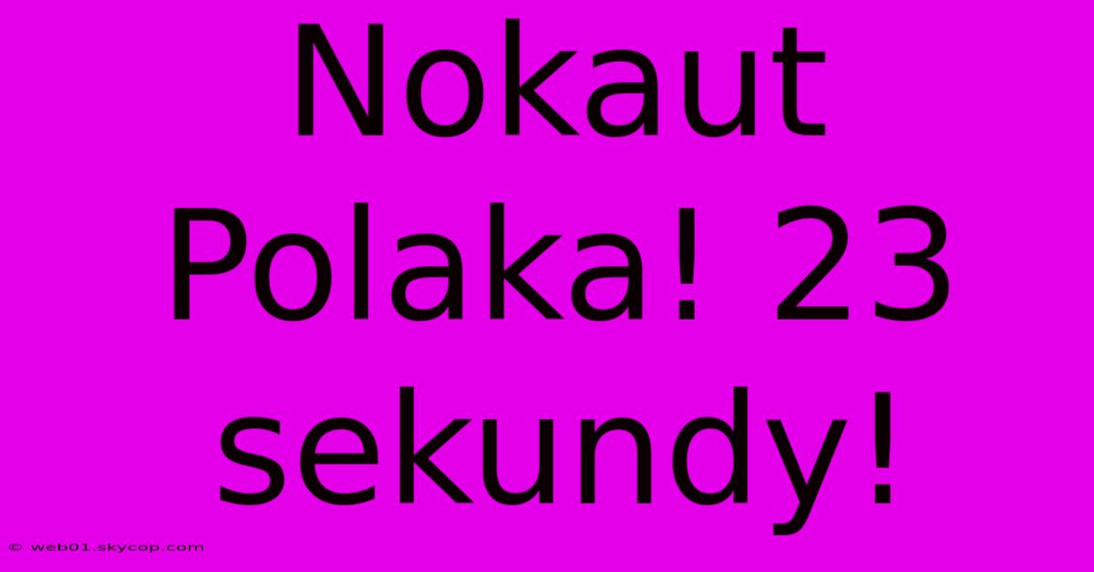 Nokaut Polaka! 23 Sekundy!