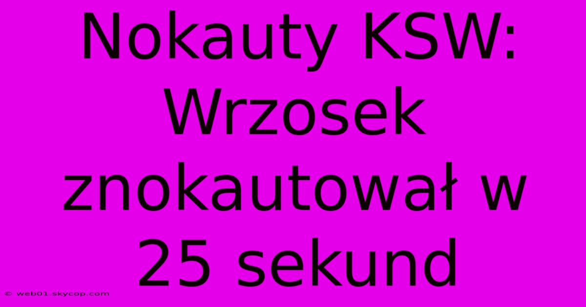 Nokauty KSW: Wrzosek Znokautował W 25 Sekund