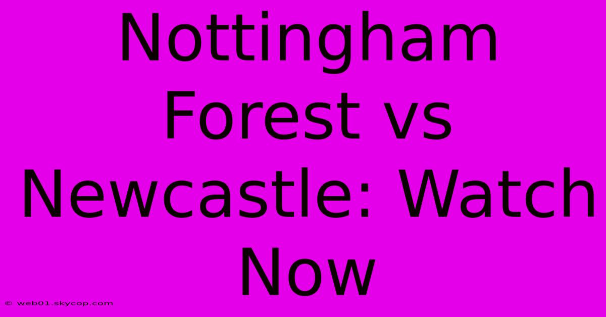 Nottingham Forest Vs Newcastle: Watch Now 