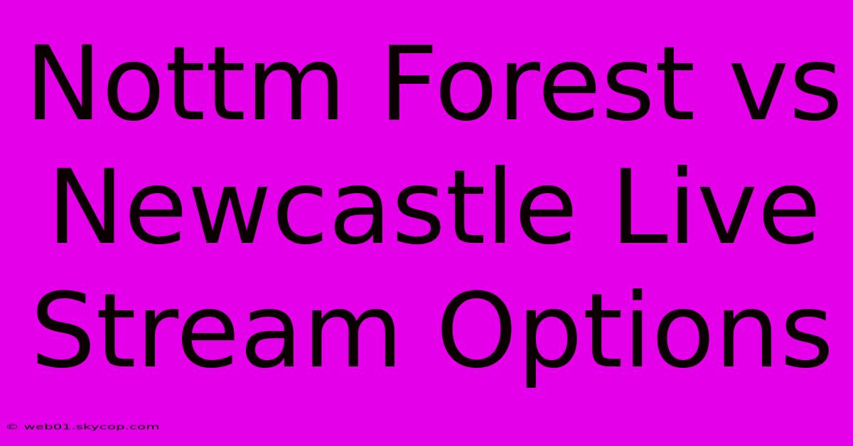 Nottm Forest Vs Newcastle Live Stream Options 