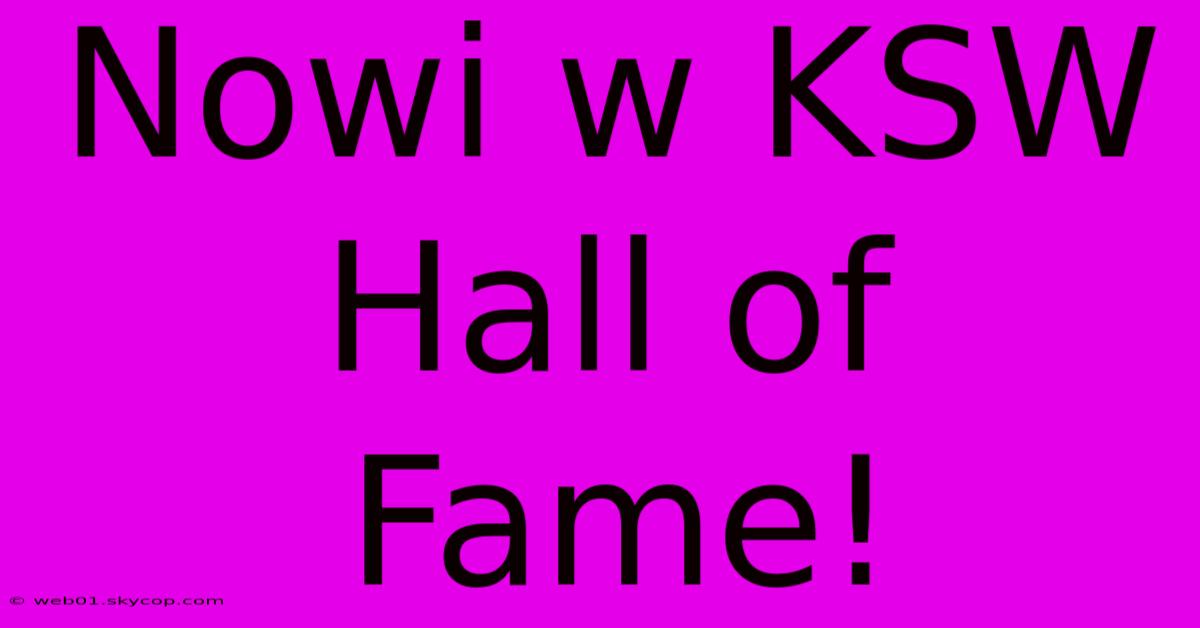 Nowi W KSW Hall Of Fame!