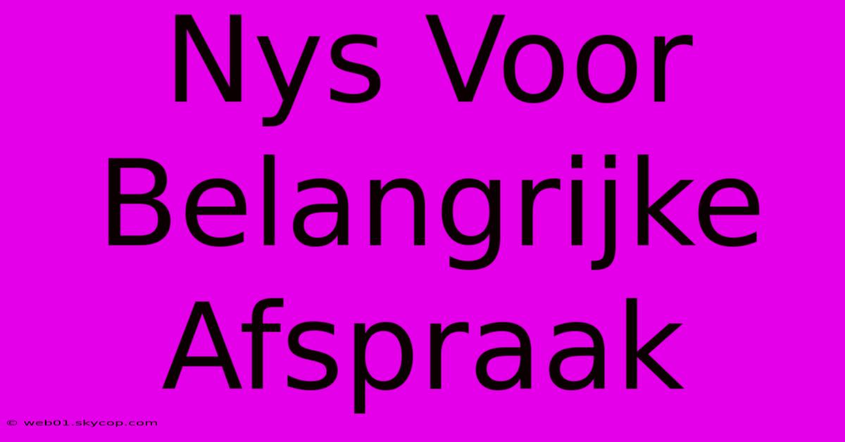 Nys Voor Belangrijke Afspraak