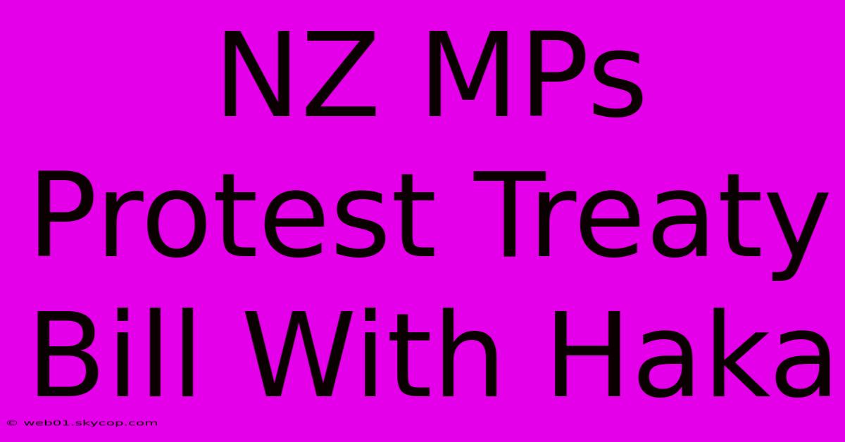 NZ MPs Protest Treaty Bill With Haka