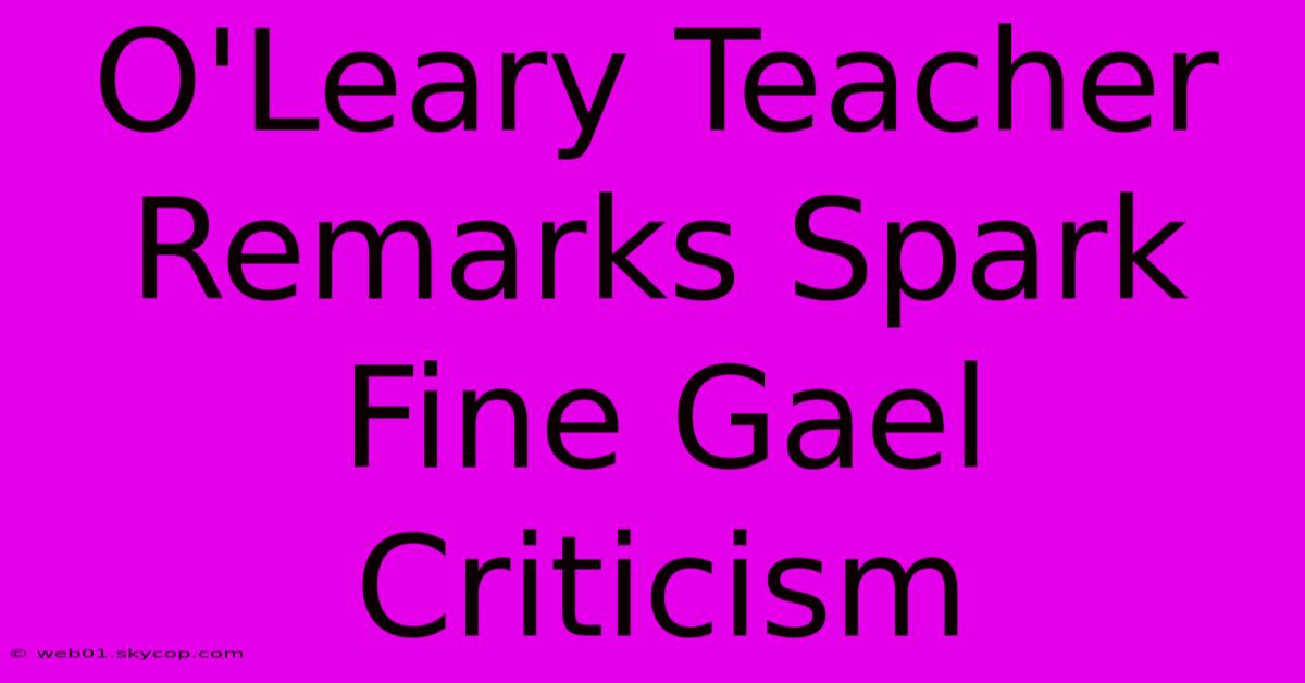 O'Leary Teacher Remarks Spark Fine Gael Criticism