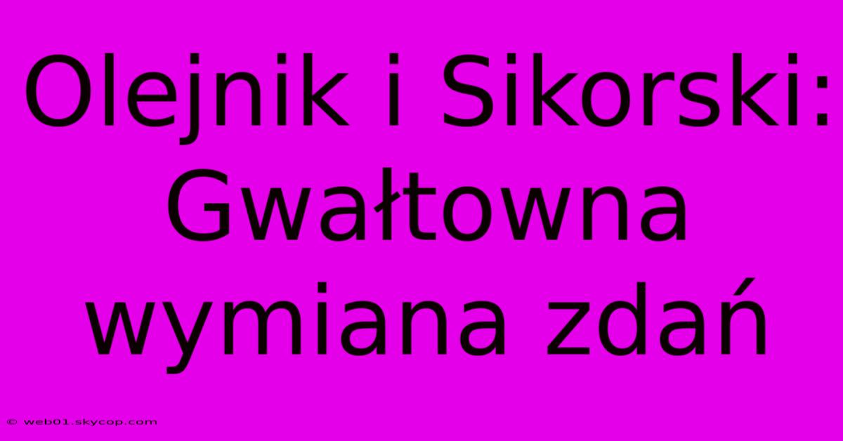 Olejnik I Sikorski: Gwałtowna Wymiana Zdań