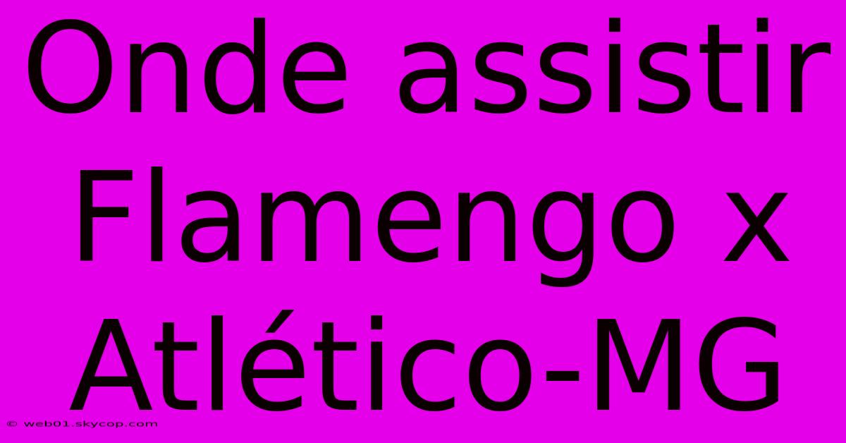 Onde Assistir Flamengo X Atlético-MG