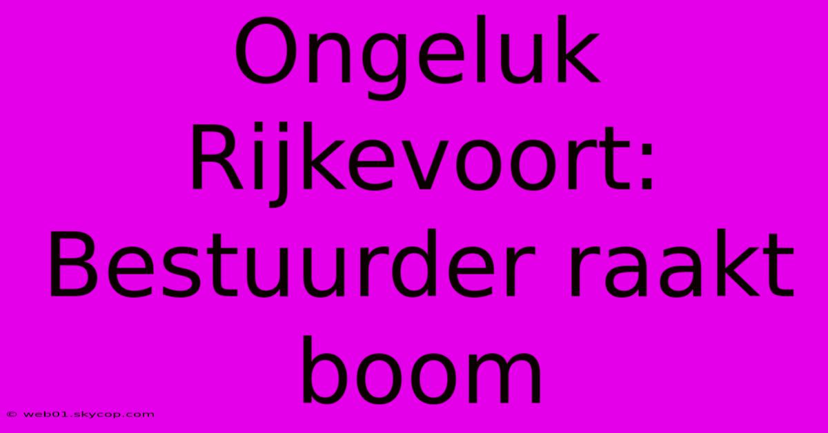 Ongeluk Rijkevoort: Bestuurder Raakt Boom