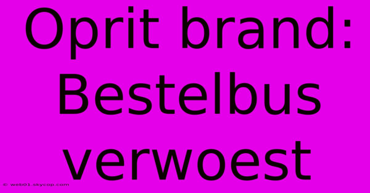 Oprit Brand: Bestelbus Verwoest