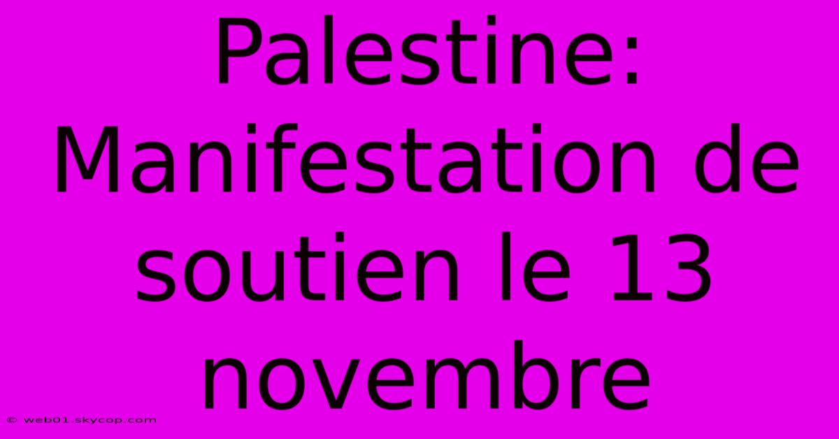 Palestine: Manifestation De Soutien Le 13 Novembre